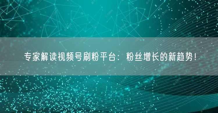专家解读视频号刷粉平台：粉丝增长的新趋势！