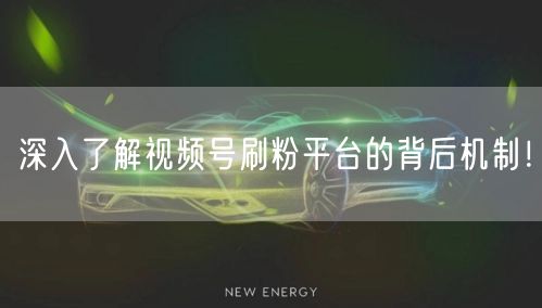 深入了解视频号刷粉平台的背后机制！