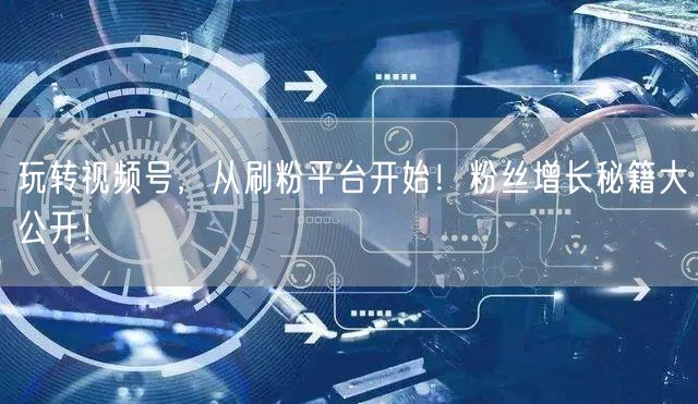 玩转视频号，从刷粉平台开始！粉丝增长秘籍大公开！