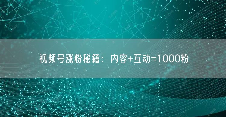视频号涨粉秘籍：内容+互动=1000粉