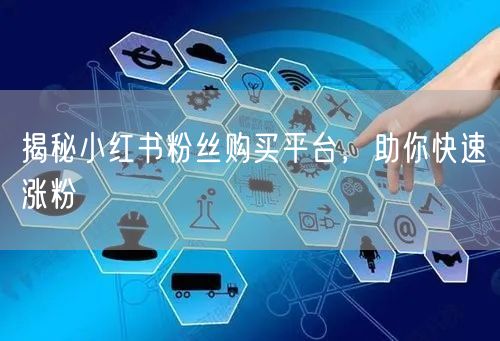 揭秘小红书粉丝购买平台，助你快速涨粉