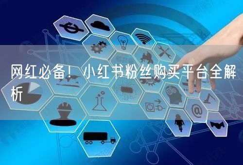 网红必备！小红书粉丝购买平台全解析