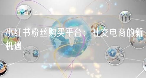 小红书粉丝购买平台：社交电商的新机遇