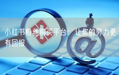 小红书粉丝购买平台：让你的努力更有回报