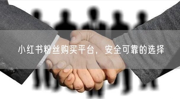 小红书粉丝购买平台，安全可靠的选择