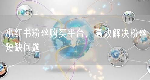小红书粉丝购买平台，高效解决粉丝短缺问题