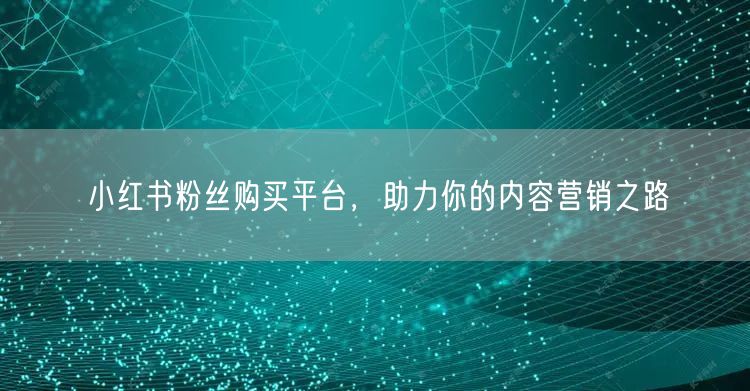 小红书粉丝购买平台，助力你的内容营销之路