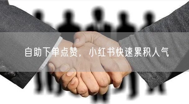 自助下单点赞，小红书快速累积人气